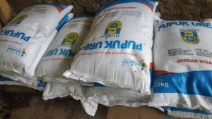 Pemerintah Hanya Salurkan 2 Jenis Pupuk Subsidi, Dispertan: Tunggu Sosialisasi - Info Seputar Pati