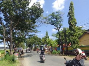 3-5.jpg Ketersediaan Tutupan Lahan di Pati Masuk Dalam Kategori Rendah - Info Seputar Pati