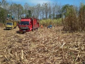 9-8.jpg Medan Buruk Akibat Hujan, Proses Giling Tebu di Pati Terhambat - Info Seputar Pati