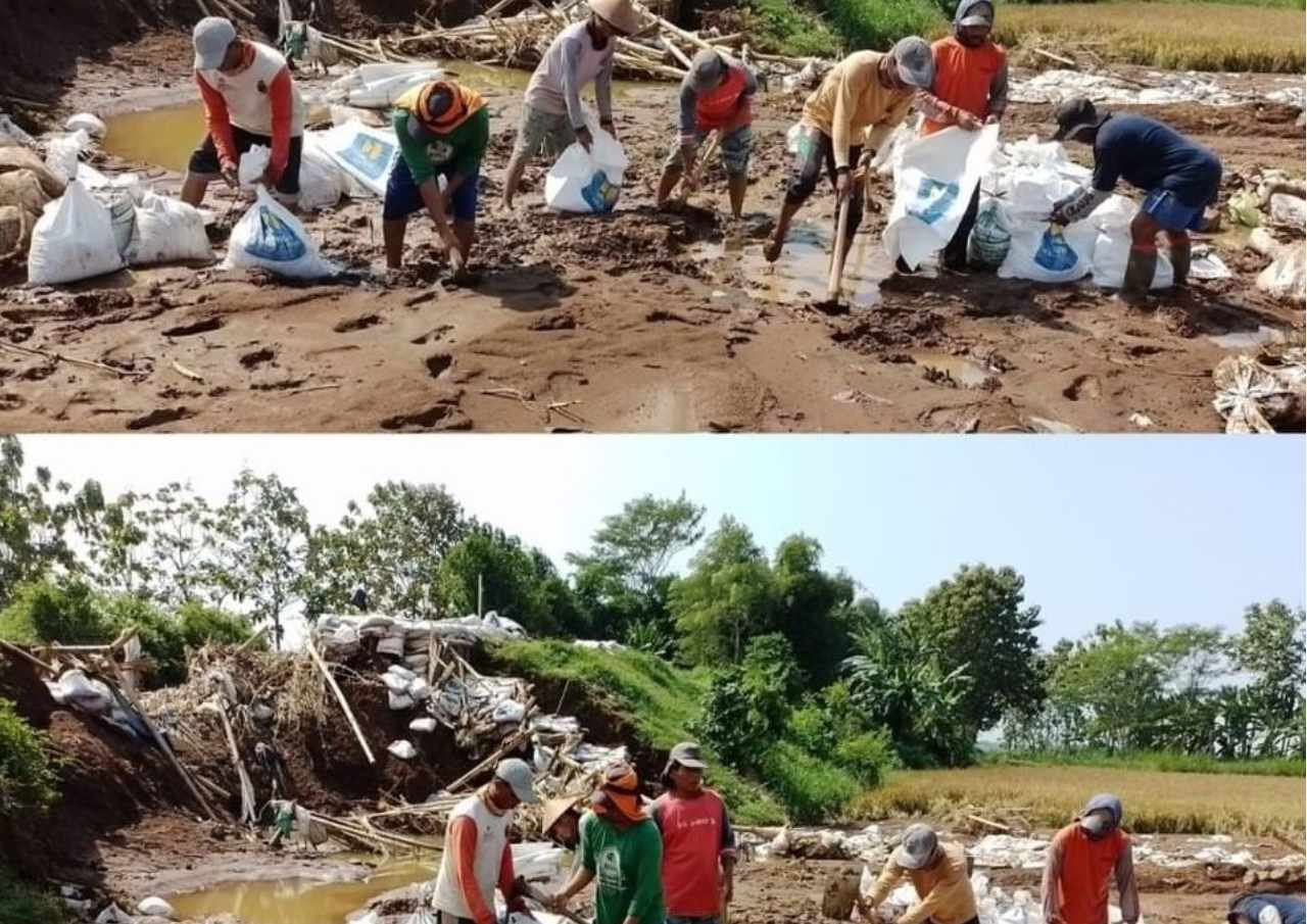 Seminggu-Pasca-Banjir-Bandang-Pelayanan-Pemdes-Bulumanis-Kidul-Dibuka-Kembali.jpg