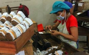 Sebanyak 2.230 Petani Tembakau dan Buruh Rokok Akan Peroleh BLT dari DBHCHT Sebesar Rp 1,2 Juta - Info Seputar Pati