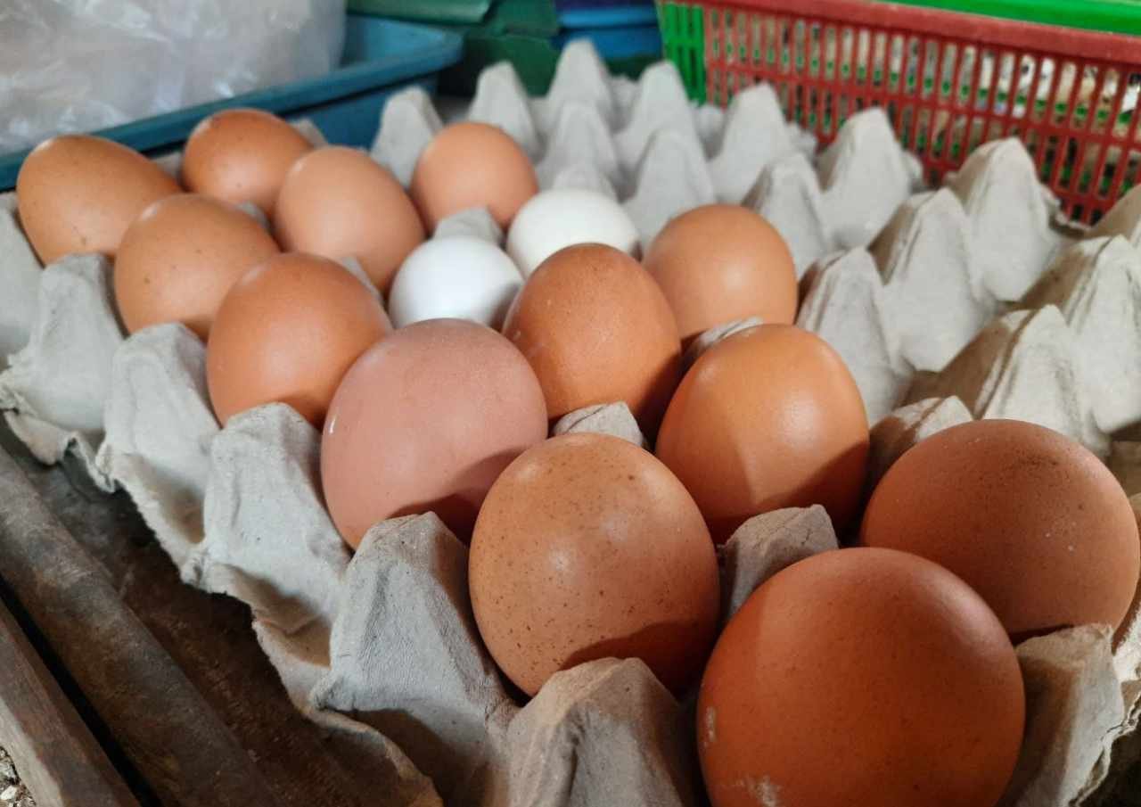 Stok-Buat-PKH-Harga-Telur-di-Pati-Naik-Jadi-30-Ribu.jpg