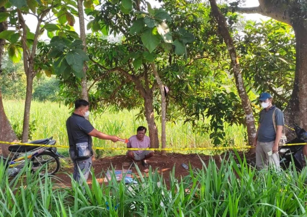 Gelar Dadu di Tengah Kebun Singkong, Warga Wonosekar Pati Digrebek Aparat