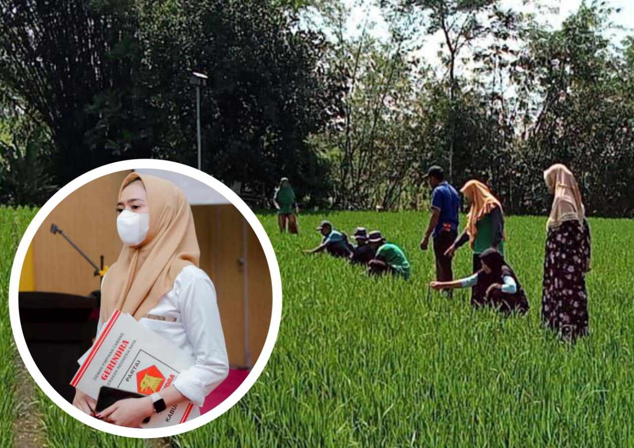 Anak Muda Lebih Suka Kerja di Perkantoran, Begini Tanggapan Dewan Pati Anak Muda Lebih Suka Kerja di Perkantoran, Begini Tanggapan Dewan Pati