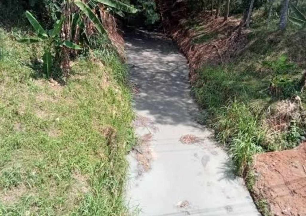 Dewan Pati Soroti Masyarakat yang Gemar Buang Limbah Sembarangan