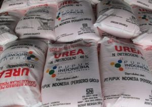 Dewan Pati Ungkap Petani Masih Bergantung pada Pupuk Bersubsidi meskipun Alokasi Berkurang