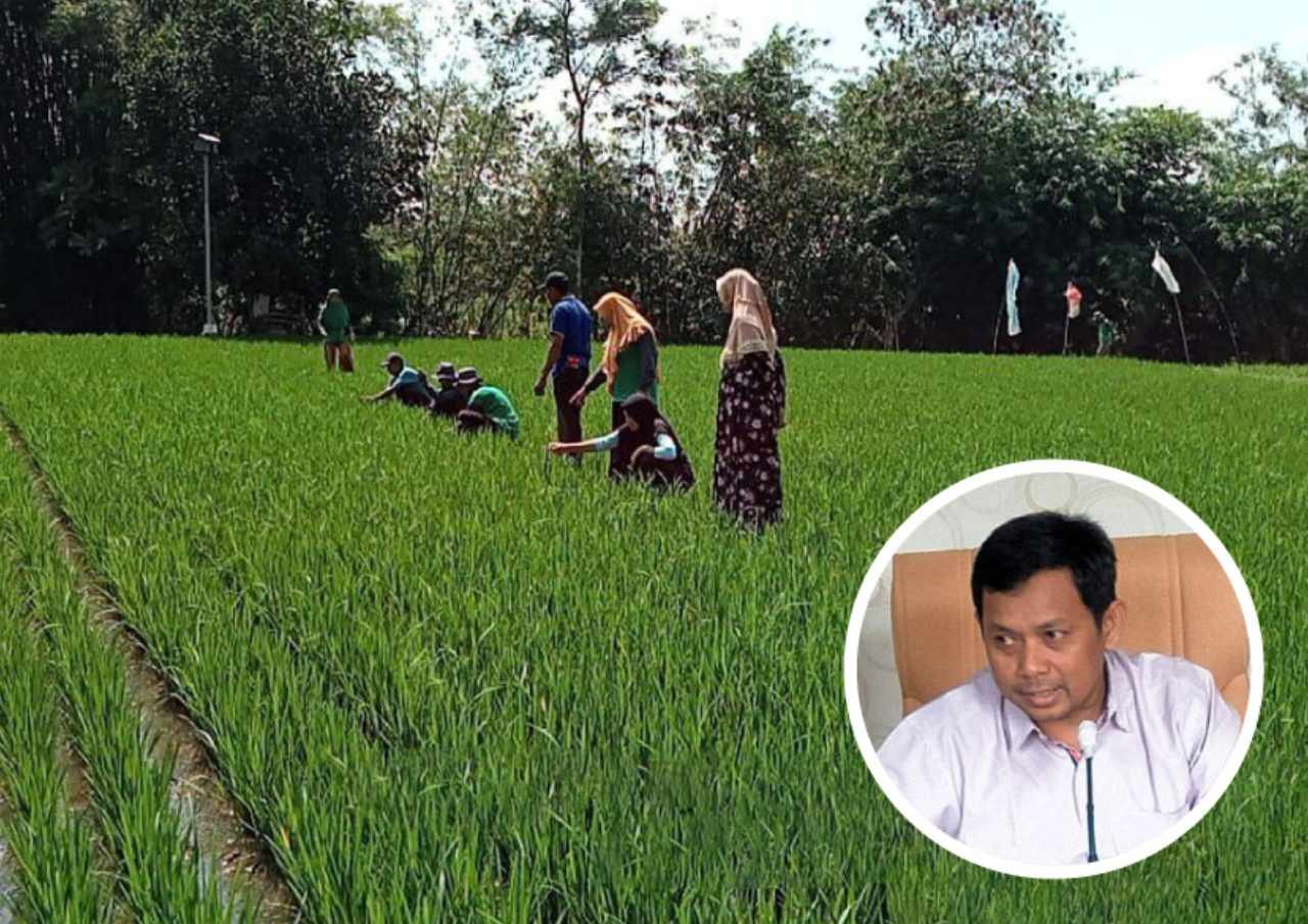 Kekuatan Pembangunan Indonesia, DPRD Pati Sebut Sektor Pertanian Sangat Potensial Kekuatan Pembangunan Indonesia, DPRD Pati Sebut Sektor Pertanian Sangat Potensial