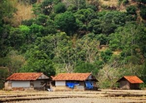 Sawah Tak Dapat Pengairan dari Sungai, Perwakilan Petani Pati Selatan Curhat ke DPRD