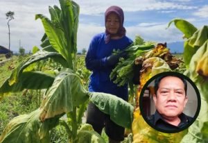 Pemkab Pati Berupaya Maksimalkan Pendapatan Negara, Dewan Pati Bicara Pajak Tembakau