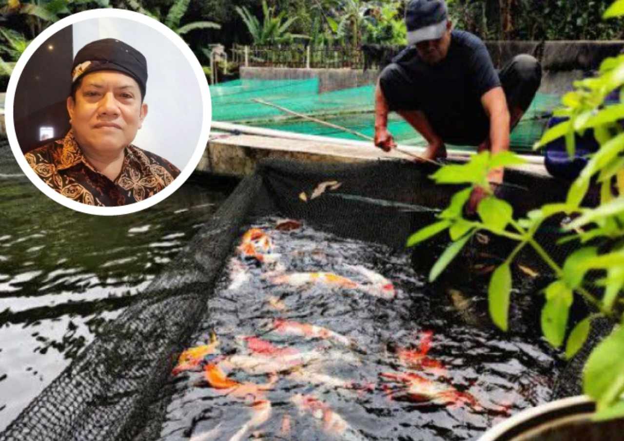 Ciptakan Lapangan Kerja Dari Budidaya Ikan Hias, DPRD Itu Sangat Menginspirasi