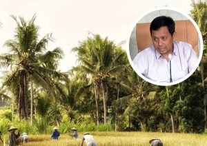 DPRD Tata Niaga Produk Pertanian Harus Dikelola DPRD: Tata Niaga Produk Pertanian Harus Dikelola - Info Seputar Pati