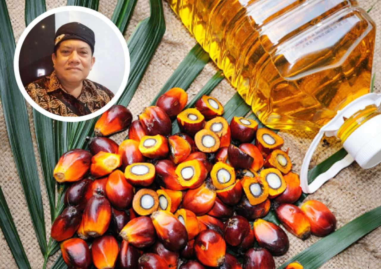 Dewan Bicara soal Ekspor Bahan Baku Minyak Goreng