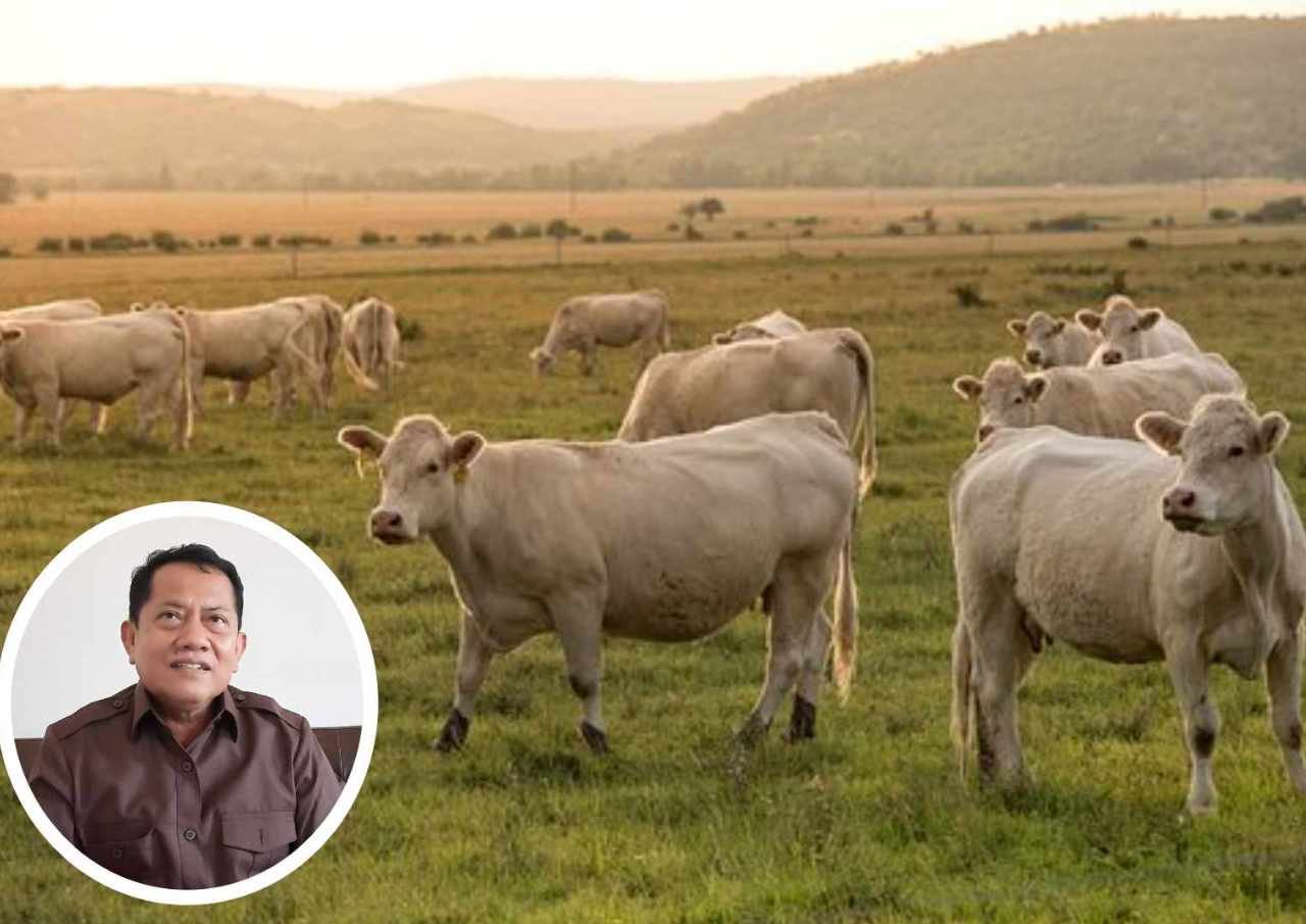 Minimalisir Impor Daging Sapi, Dewan Minta Kualitas Ternak Pati Diperbaiki