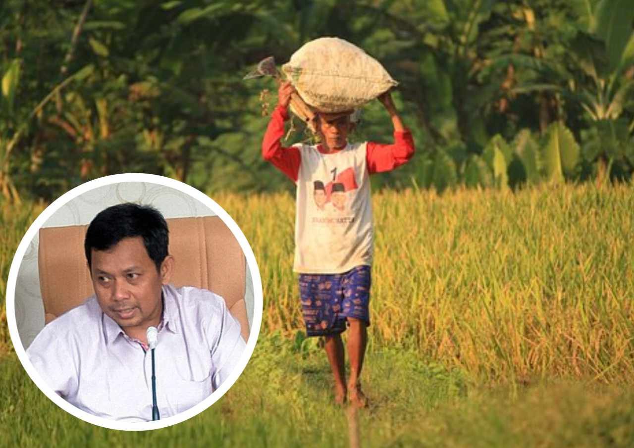 Pengelolaan Distribusi dan Penjualan Hasil Tani Berdampak pada Harga Panen