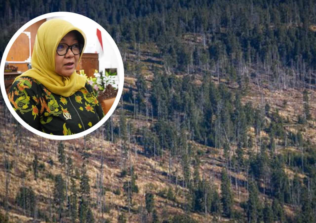 Wakil Rakyat Harap Masyarakat Peduli soal Konservasi Hutan