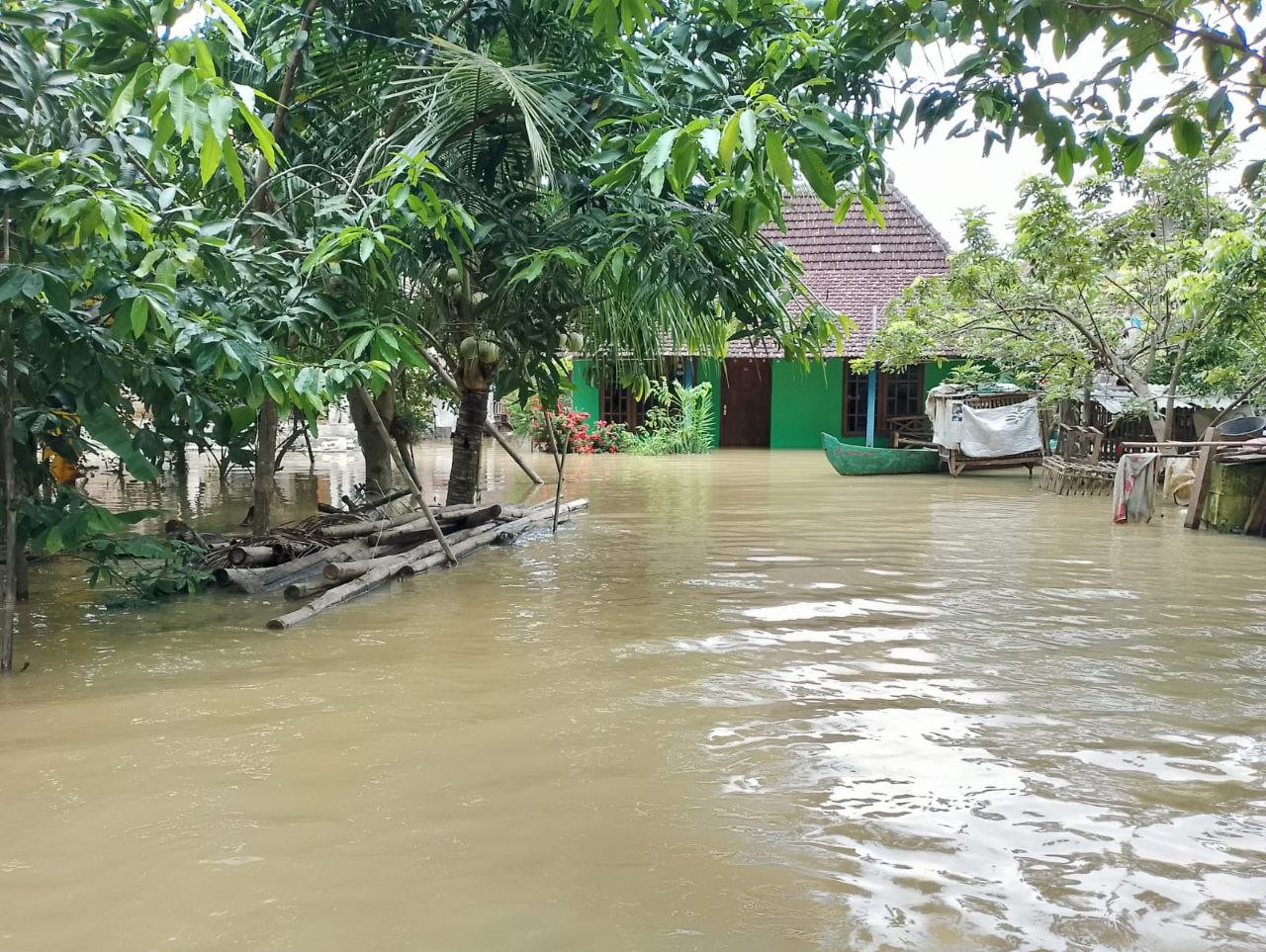 Banjir di Pati Masih Menggenang, Warga Mulai Terjangkit Penyakit