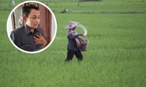 Pupuk Makin Langka, Dewan Sarankan Metode Pemupukan Presisi