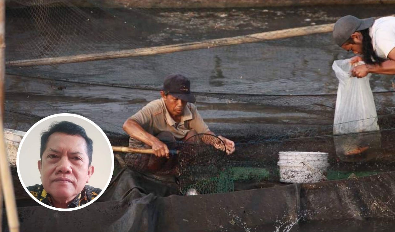 Foto: Ilustrasi Panen ikan (sumber:istimewa) Foto: Ilustrasi Panen ikan (sumber:istimewa)