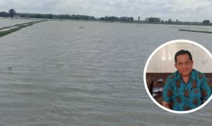 Anggota DPRD Usulkan Pemkab Pati Pompa Sawah Tergenang Sisa Banjir