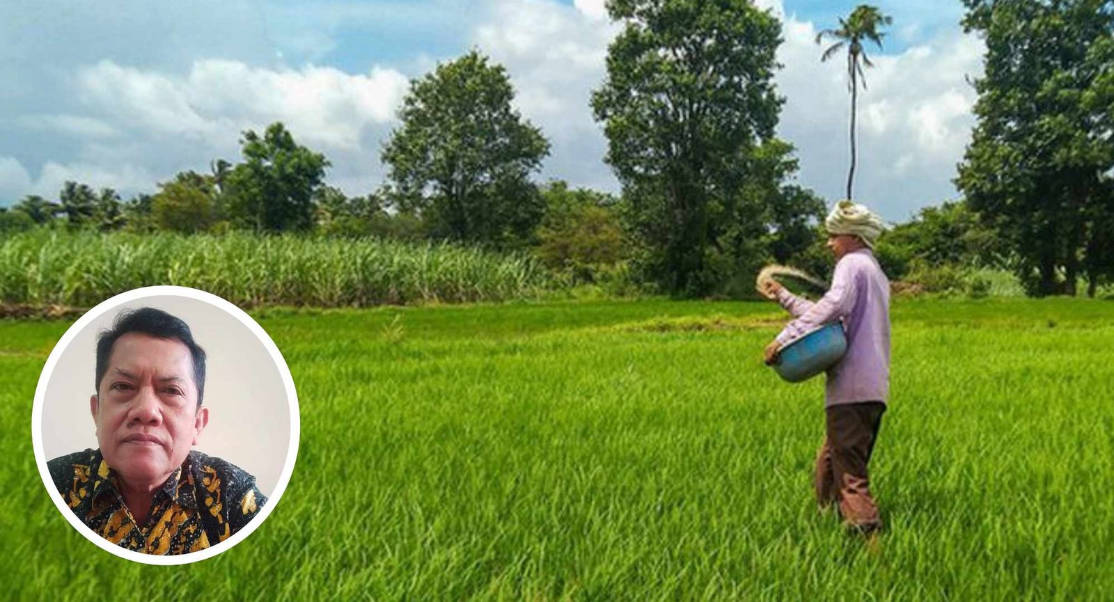 Foto: Ilustrasi pertanian/ istimewa