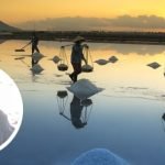 Pemerintah Akan Hentikan Impor Garam, Begini Tanggapan Dewan
