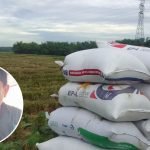 Harga Gabah Pati Melonjak dan Kekhawatiran Terhadap Inflasi