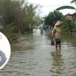 Banjir Kembali Melanda Banjarsari, Rumah dan Sawah Tergenang