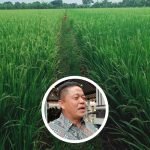 Ketua DPRD Pati: Pemkab Harus Serius Tangani Masalah Pupuk