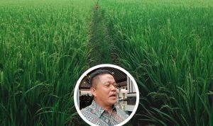 Ketua DPRD Pati: Pemkab Harus Serius Tangani Masalah Pupuk