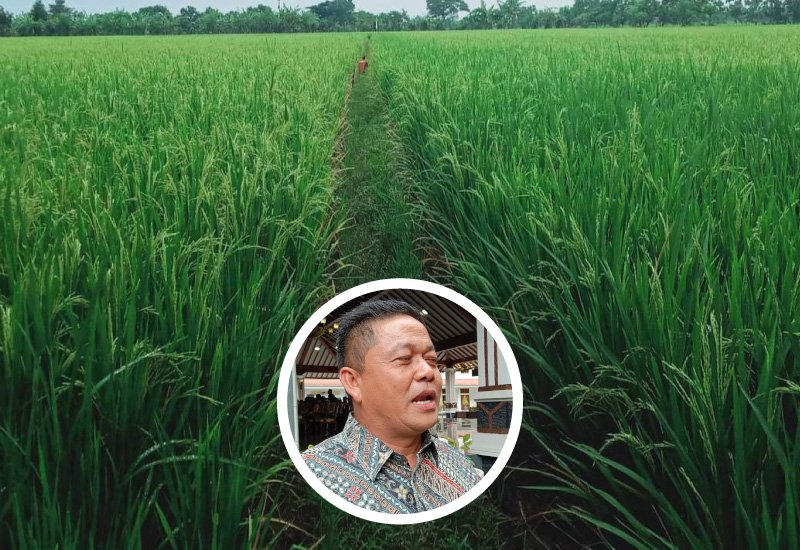 Ketua DPRD Pati: Pemkab Harus Serius Tangani Masalah Pupuk