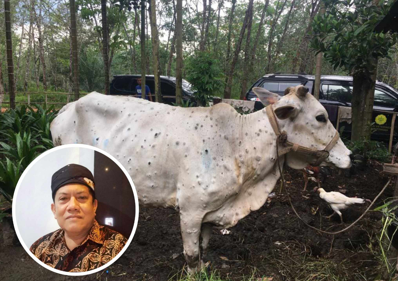 Penyakit LSD Sapi Terus Bertambah di Pati, DPRD Status Darurat Harus Ditetapkan