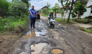 Jalan Sokokulon Rusak Parah, Wakil Ketua I DPRD Pati: Saya Sudah Telepon PUPR