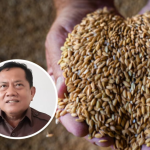 DPRD: Mesin Pengering Gabah Dapat Membantu Petani