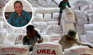 pupuk-non-subsidi harga pupuk mahal