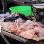 harga daging ayam naik