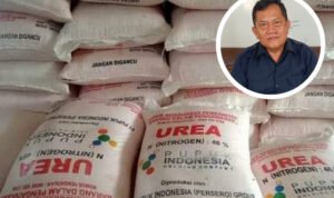 Foto: Marak Pupuk Palsu, DPRD Pati Imbau Petani Waspada (Kafi/infoseputarpati)