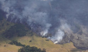 Kebakaran di Kawasan Bromo Meluas