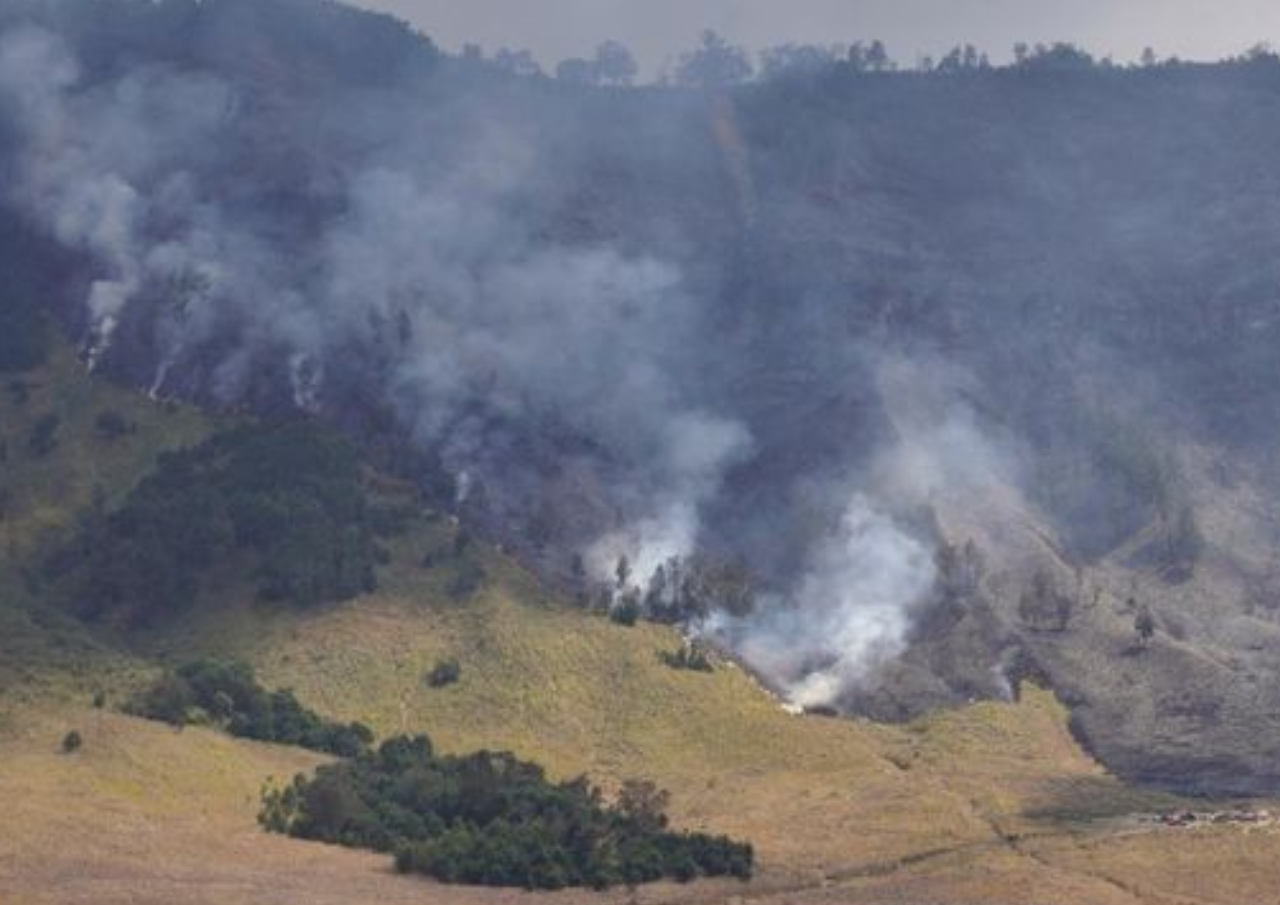 Kebakaran di Kawasan Bromo Meluas