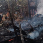 Kebakaran Kandang dan Sapi di Cluwak Pati