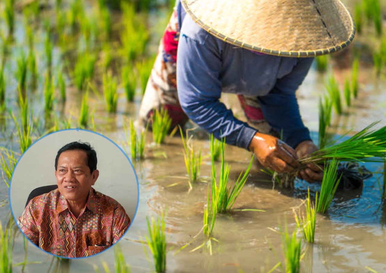 Foto: Ilustrasi sektor pertanian (Sumber: iStock)