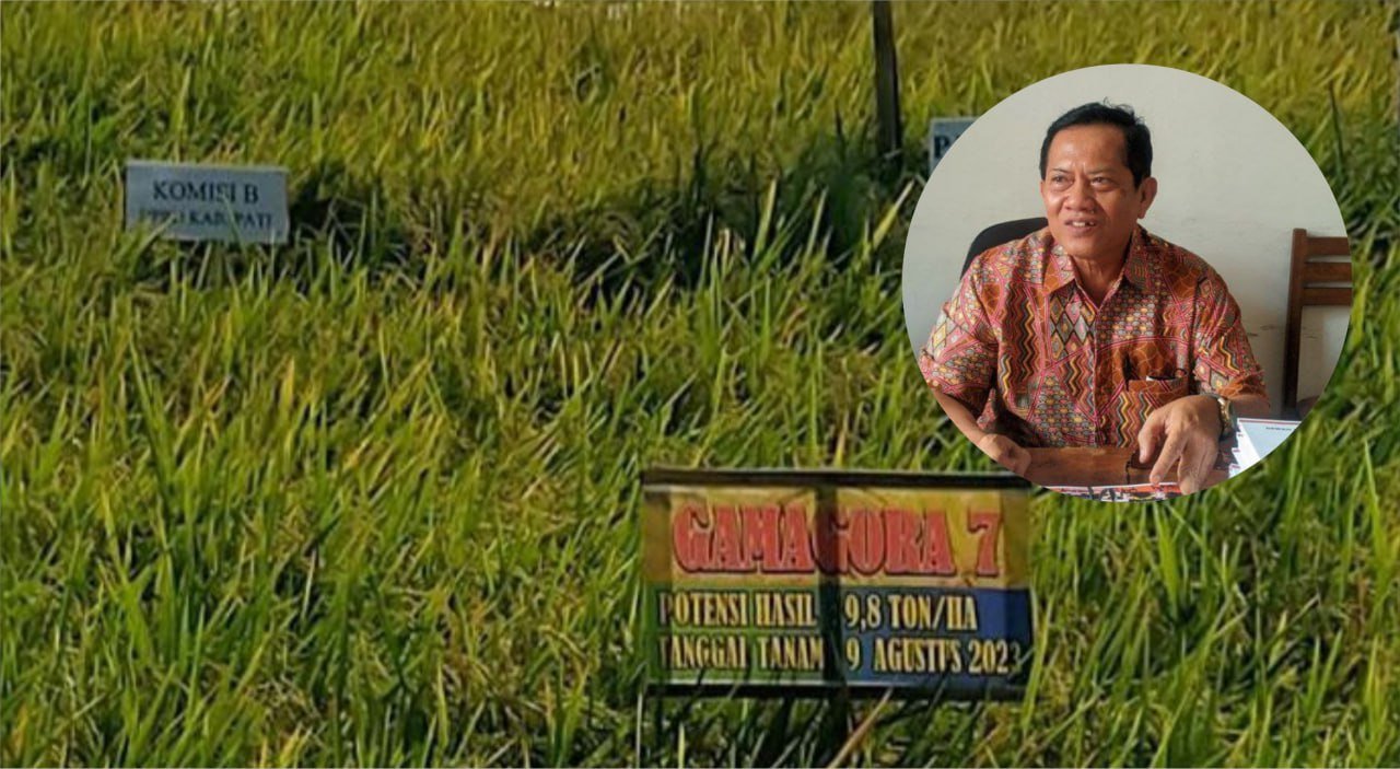 Foto : Uji coba Gamagora di Kecamatan Trangkil yang dilakukan Anggota DPRD Pati (Sumber : Dokumentasi Sukarno)