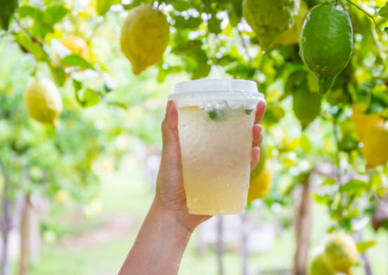 Infused Water Cocok untuk Vitamin saat Ramadan, Berikut Cara Membuatnya