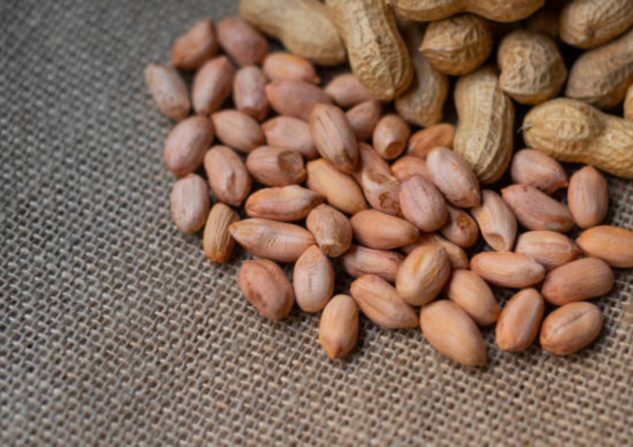 Jenis Kacang yang Sehat untuk Camilan