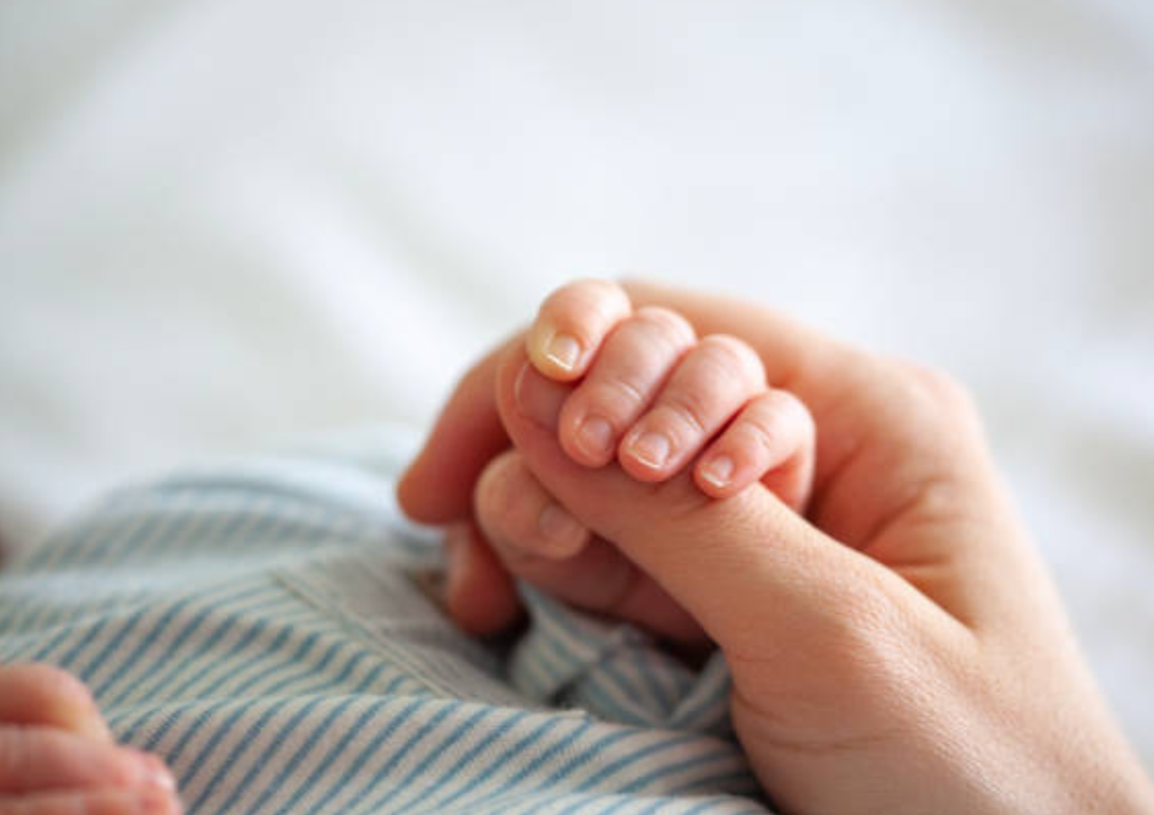 Bayi Derita Luka Robek pada Perut setelah Diserang Monyet