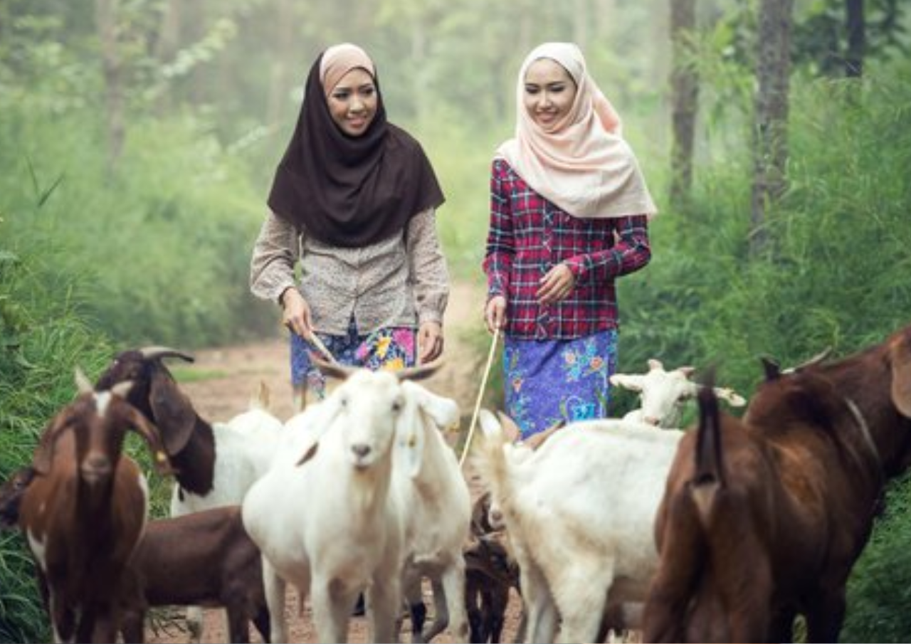 Syarat yang Harus Dipenuhi bagi Orang Berkurban