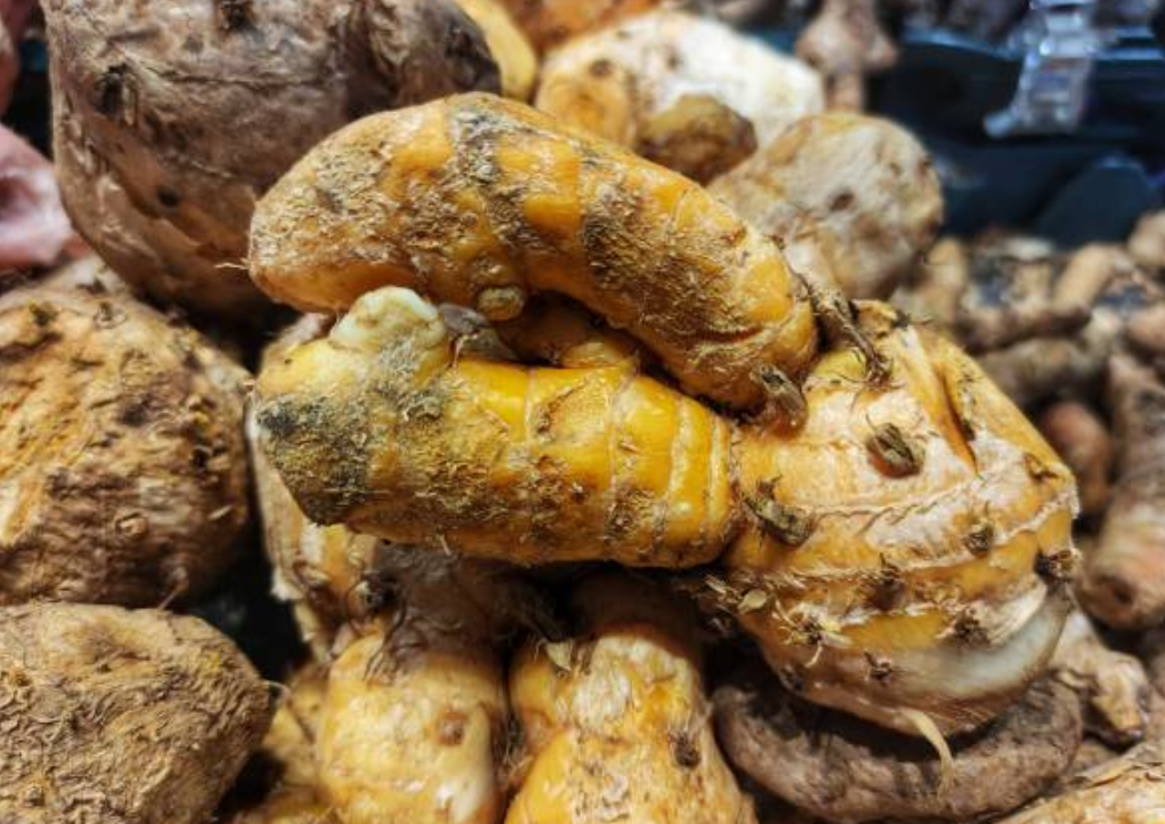 Manfaat Jamu Temulawak
