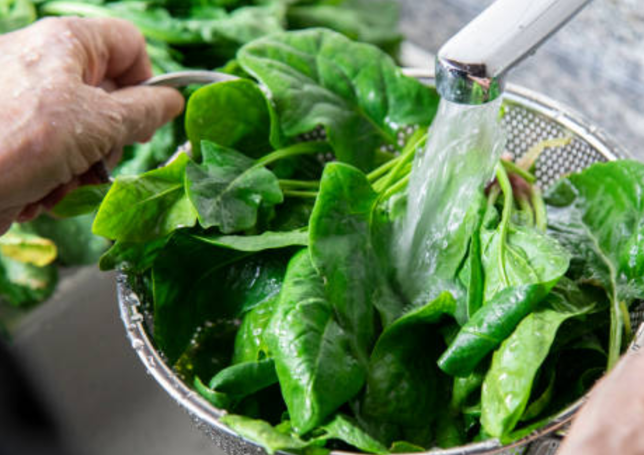 5 Sayur yang Kaya akan Protein
