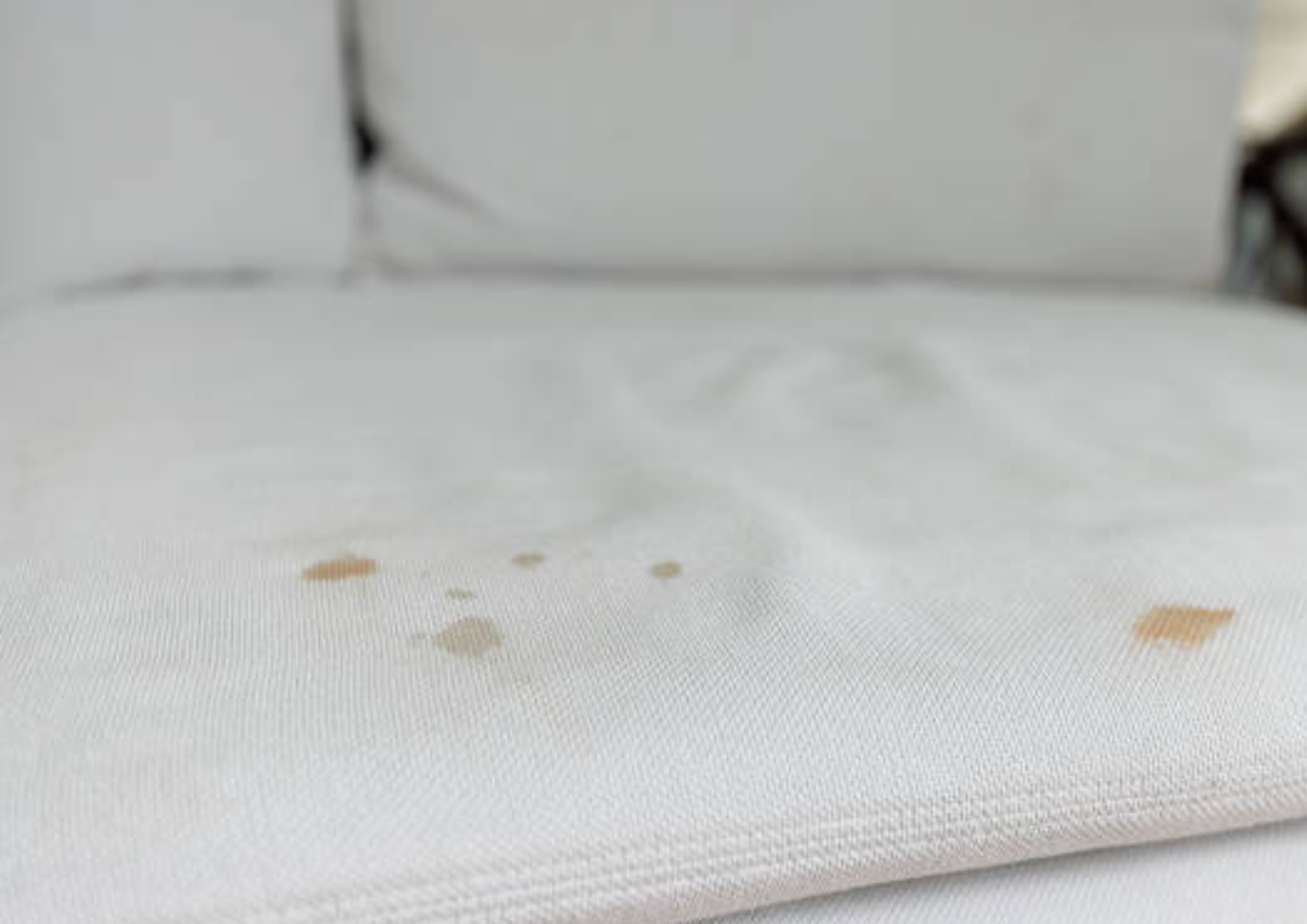 Tips Membersihkan Noda pada Sofa