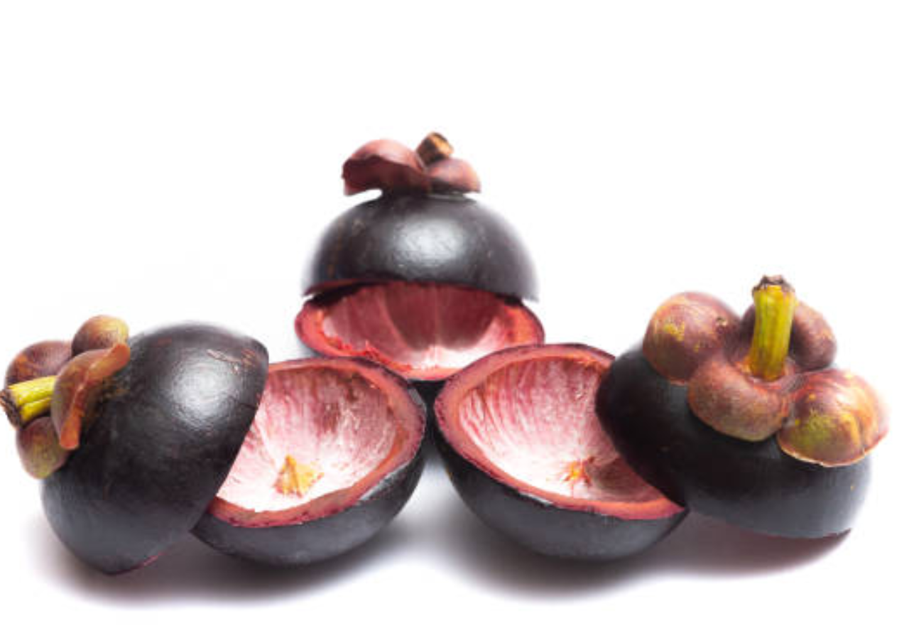 Faedah Kulit Manggis bagi Kesehatan dan Kecantikan