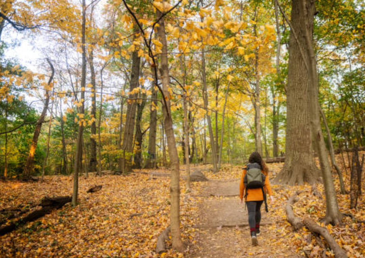 Pendaki jadi Korban Pencabulan di Sulawesi Selatan